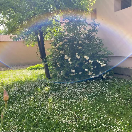 Marcsi Apartmán Gyula